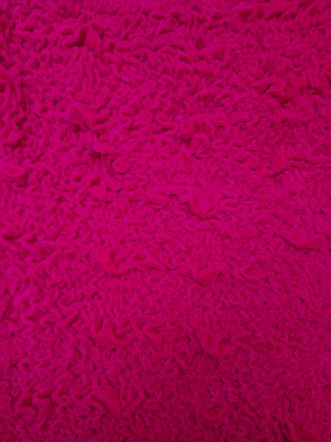 Celosia smocking